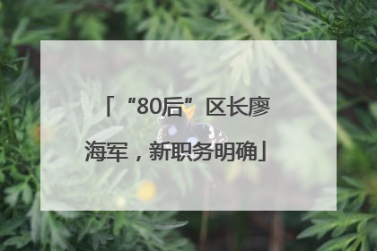 “80后”区长廖海军，新职务明确
