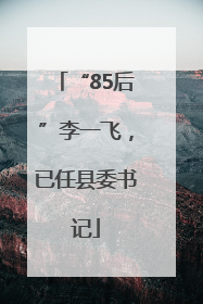 “85后”李一飞，已任县委书记