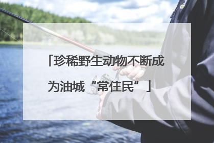 珍稀野生动物不断成为油城“常住民”