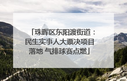珠晖区东阳渡街道：民生实事人大票决项目落地 气排球赛点燃