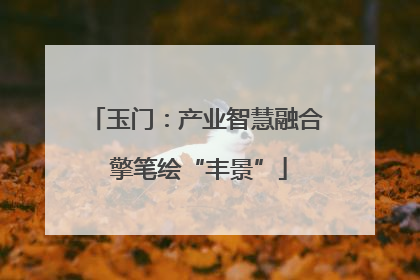 玉门：产业智慧融合 擎笔绘“丰景”