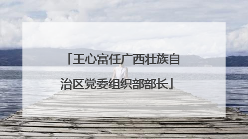 王心富任广西壮族自治区党委组织部部长