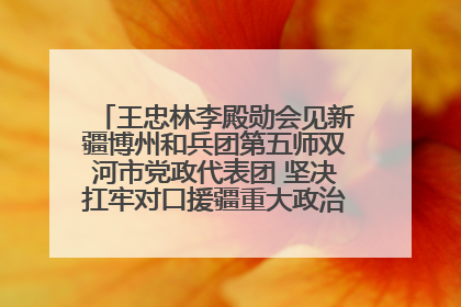 王忠林李殿勋会见新疆博州和兵团第五师双河市党政代表团 坚决扛牢对口援疆重大政治责任 推动双方实现优势互补务实合作