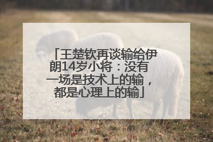 王楚钦再谈输给伊朗14岁小将：没有一场是技术上的输，都是心理上的输