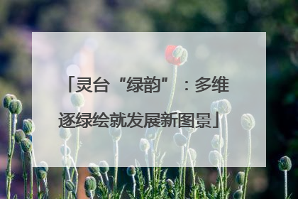 灵台“绿韵”：多维逐绿绘就发展新图景