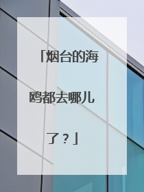 烟台的海鸥都去哪儿了？