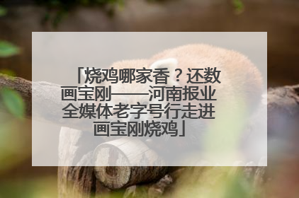 烧鸡哪家香？还数画宝刚——河南报业全媒体老字号行走进画宝刚烧鸡