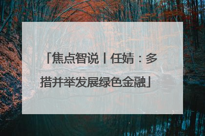 焦点智说丨任婧：多措并举发展绿色金融