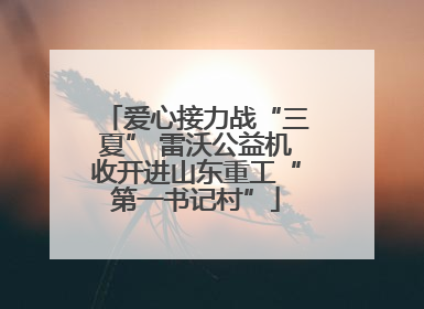 爱心接力战“三夏” 雷沃公益机收开进山东重工“第一书记村”