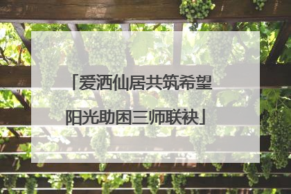 爱洒仙居共筑希望 阳光助困三师联袂