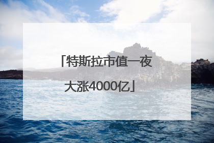 特斯拉市值一夜大涨4000亿
