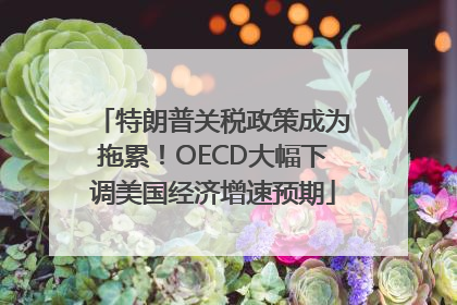 特朗普关税政策成为拖累！OECD大幅下调美国经济增速预期