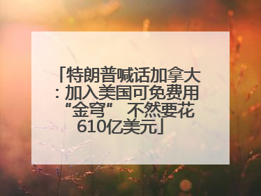 特朗普喊话加拿大：加入美国可免费用“金穹” 不然要花610亿美元