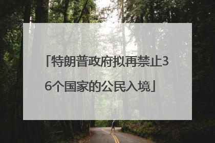 特朗普政府拟再禁止36个国家的公民入境