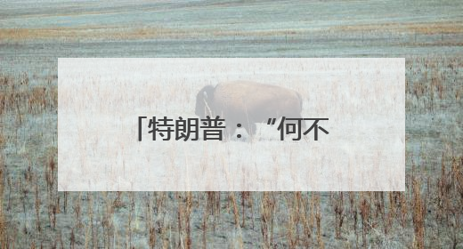 特朗普：“何不更换伊朗政权？” 以持续打击伊朗军事目标