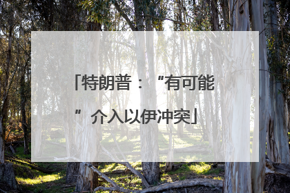 特朗普：“有可能”介入以伊冲突