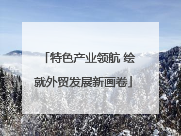 特色产业领航 绘就外贸发展新画卷