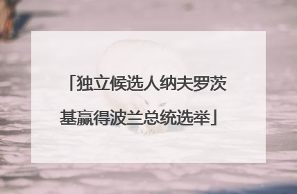 独立候选人纳夫罗茨基赢得波兰总统选举