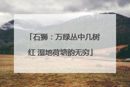 石狮：万绿丛中几树红 湿地荷塘韵无穷