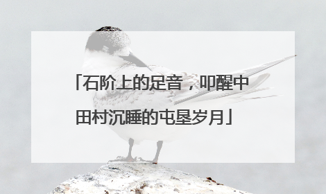 石阶上的足音，叩醒中田村沉睡的屯垦岁月