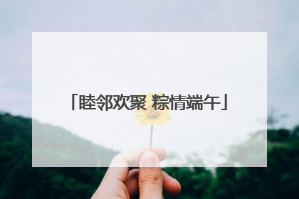 睦邻欢聚 粽情端午