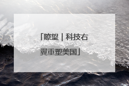 瞭望｜科技右翼重塑美国