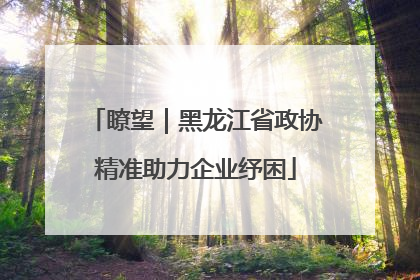 瞭望｜黑龙江省政协精准助力企业纾困
