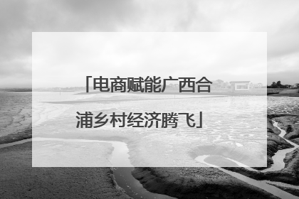 电商赋能广西合浦乡村经济腾飞