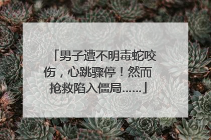 男子遭不明毒蛇咬伤，心跳骤停！然而抢救陷入僵局……