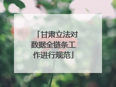 甘肃立法对数据全链条工作进行规范