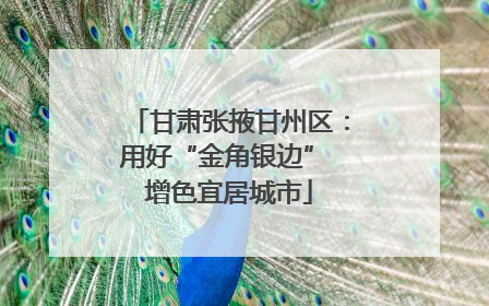 甘肃张掖甘州区：用好“金角银边” 增色宜居城市