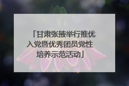 甘肃张掖举行推优入党暨优秀团员党性培养示范活动