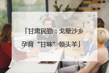 甘肃民勤：戈壁沙乡孕育“甘味”领头羊