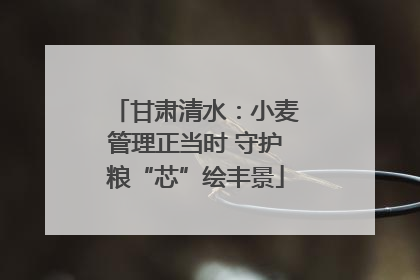 甘肃清水：小麦管理正当时 守护粮“芯”绘丰景