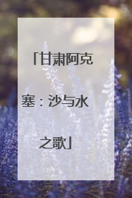甘肃阿克塞：沙与水之歌