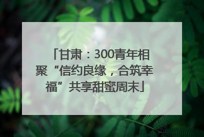 甘肃：300青年相聚“信约良缘，合筑幸福”共享甜蜜周末