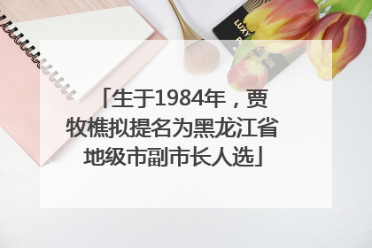 生于1984年，贾牧樵拟提名为黑龙江省地级市副市长人选