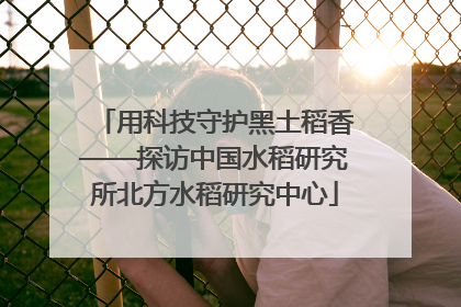 用科技守护黑土稻香——探访中国水稻研究所北方水稻研究中心