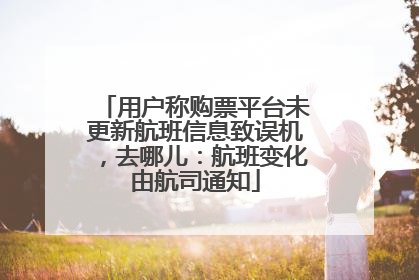 用户称购票平台未更新航班信息致误机，去哪儿：航班变化由航司通知