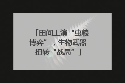 田间上演“虫粮博弈”，生物武器扭转“战局”
