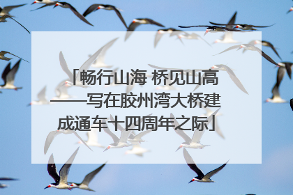 畅行山海 桥见山高——写在胶州湾大桥建成通车十四周年之际