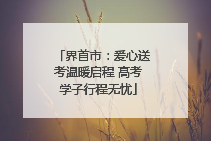 界首市：爱心送考温暖启程 高考学子行程无忧