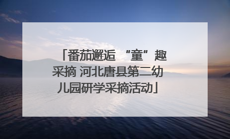 番茄邂逅 “童”趣采摘 河北唐县第二幼儿园研学采摘活动
