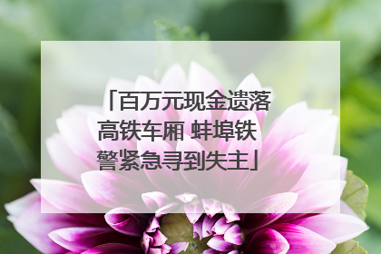 百万元现金遗落高铁车厢 蚌埠铁警紧急寻到失主