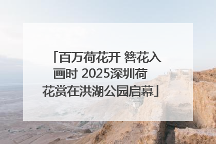 百万荷花开 簪花入画时 2025深圳荷花赏在洪湖公园启幕