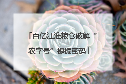 百亿江淮粮仓破解“农字号”提振密码