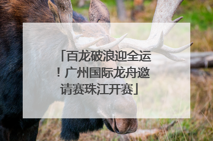 百龙破浪迎全运！广州国际龙舟邀请赛珠江开赛