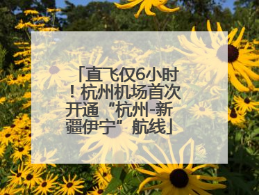 直飞仅6小时！杭州机场首次开通“杭州-新疆伊宁”航线