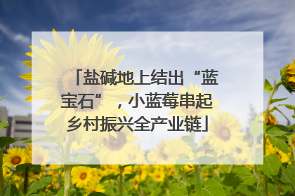 盐碱地上结出“蓝宝石”，小蓝莓串起乡村振兴全产业链