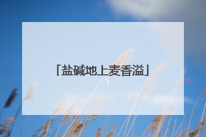盐碱地上麦香溢